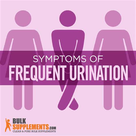 6dpo frequent urination|frequent urination 5 dpo.